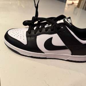 Nike Dunk Low Retro Panda Black White DD1391-100